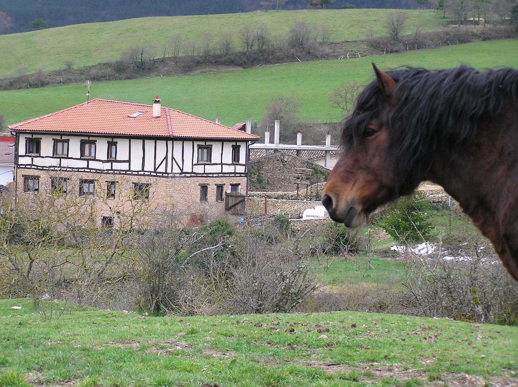 Hostal Neithea Boveda  Exterior foto